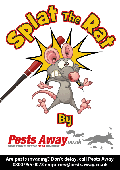 Pest_Away_Flyer-02