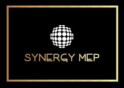 Synergy MEP